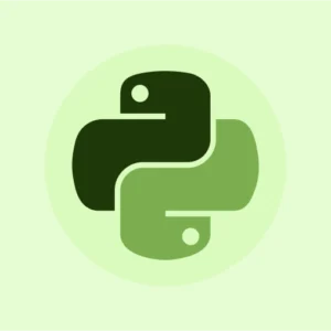 Python Programming for Beginners